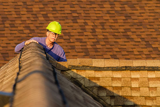 Best Roof Gutter Cleaning  in Saluda, SC